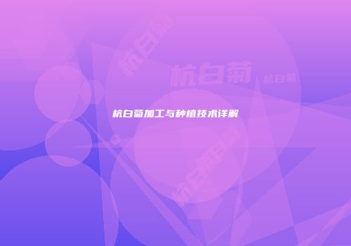杭白菊加工与种植技术详解