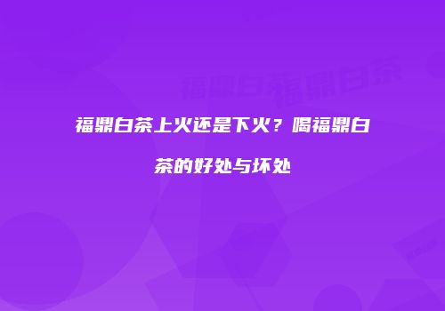 福鼎白茶上火还是下火？喝福鼎白茶的好处与坏处
