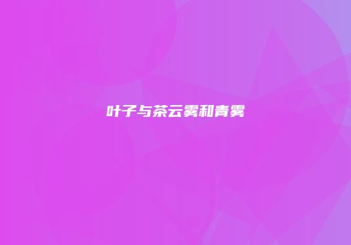 叶子与茶云雾和青雾