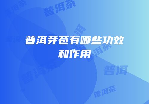 普洱芽苞有哪些功效和作用
