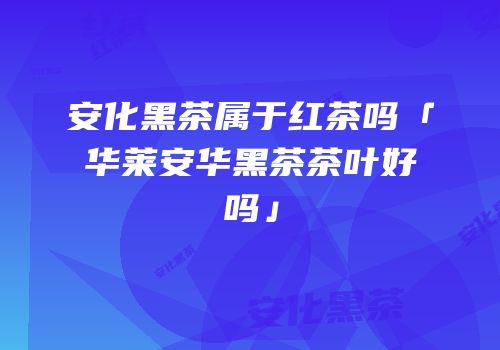 安化黑茶属于红茶吗「华莱安华黑茶茶叶好吗」