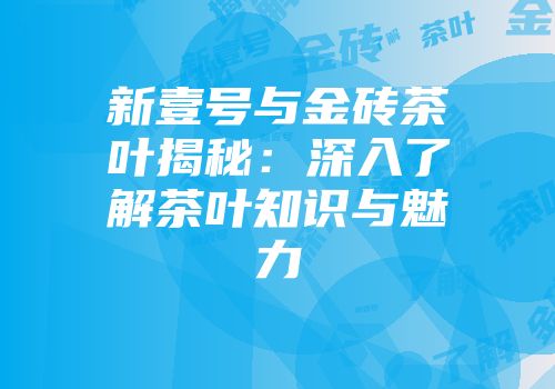 新壹号与金砖茶叶揭秘：深入了解茶叶知识与魅力