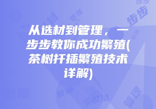 从选材到管理，一步步教你成功繁殖(茶树扦插繁殖技术详解)