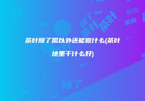 茶叶除了喝以外还能做什么(茶叶地里干什么好)