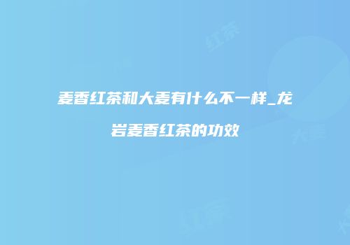 麦香红茶和大麦有什么不一样_龙岩麦香红茶的功效
