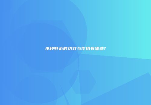 小种野茶的功效与作用有哪些?