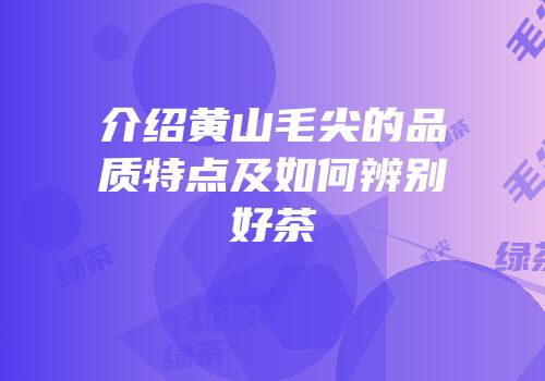 介绍黄山毛尖的品质特点及如何辨别好茶