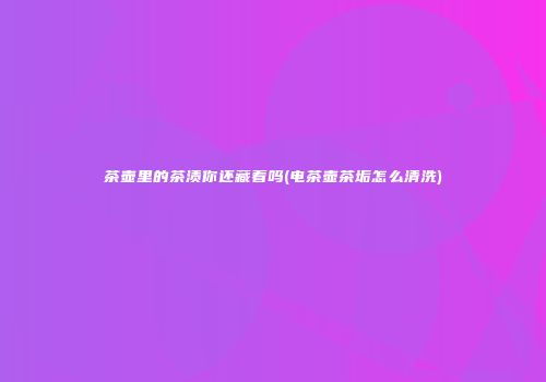 茶壶里的茶渍你还藏着吗(电茶壶茶垢怎么清洗)