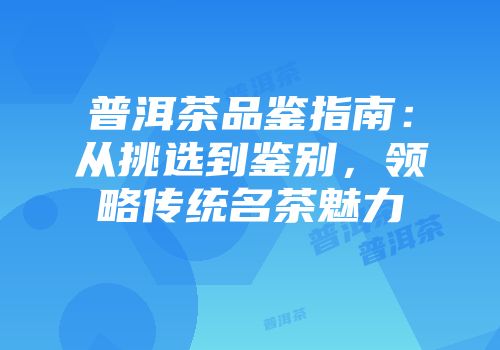 普洱茶品鉴指南：从挑选到鉴别，领略传统名茶魅力