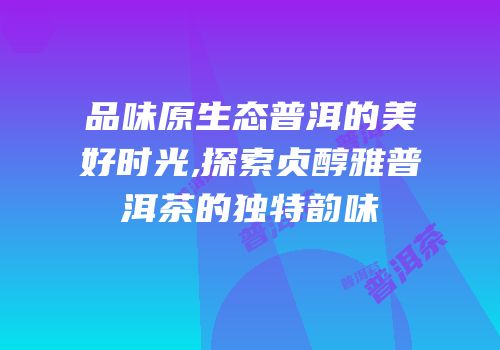 品味原生态普洱的美好时光,探索贞醇雅普洱茶的独特韵味