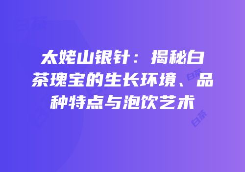 太姥山银针：揭秘白茶瑰宝的生长环境、品种特点与泡饮艺术