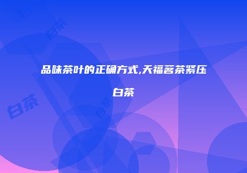 品味茶叶的正确方式,天福茗茶紧压白茶