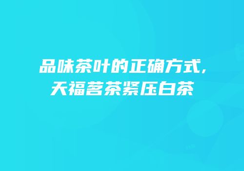 品味茶叶的正确方式,天福茗茶紧压白茶