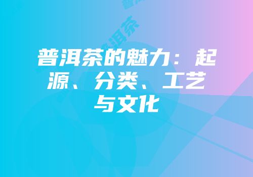 普洱茶的魅力：起源、分类、工艺与文化