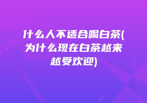 什么人不适合喝白茶(为什么现在白茶越来越受欢迎)