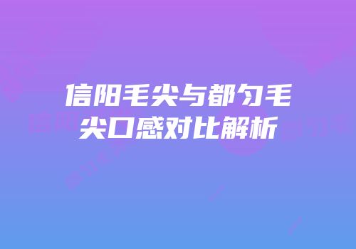 信阳毛尖与都匀毛尖口感对比解析