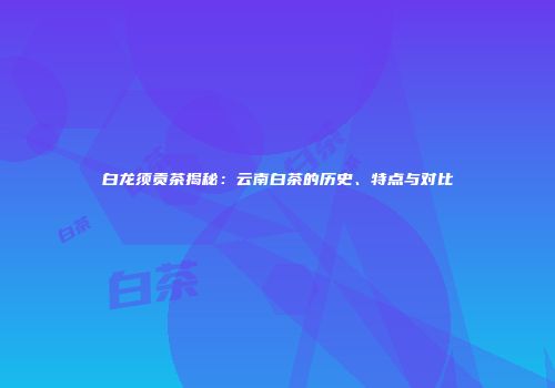 白龙须贡茶揭秘：云南白茶的历史、特点与对比