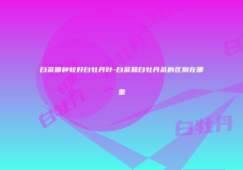 白茶哪种较好白牡丹叶-白茶和白牡丹茶的区别在哪里