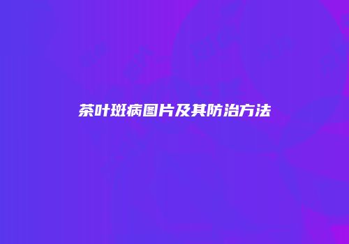 茶叶斑病图片及其防治方法
