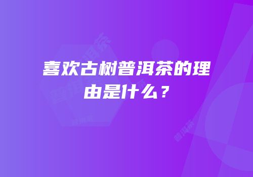 喜欢古树普洱茶的理由是什么？