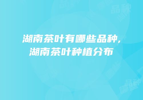 湖南茶叶有哪些品种,湖南茶叶种植分布