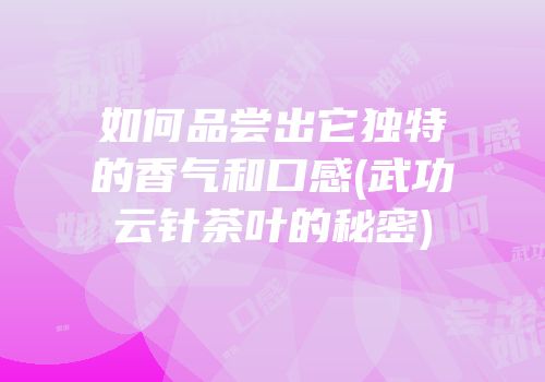 如何品尝出它独特的香气和口感(武功云针茶叶的秘密)