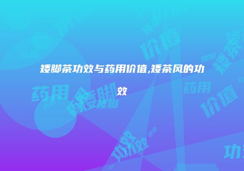 矮脚茶功效与药用价值,矮茶风的功效