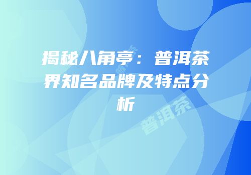 揭秘八角亭：普洱茶界知名品牌及特点分析