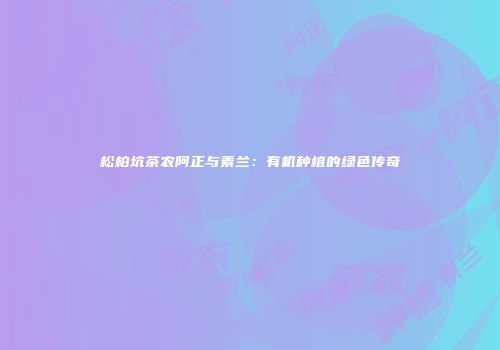 松柏坑茶农阿正与素兰：有机种植的绿色传奇