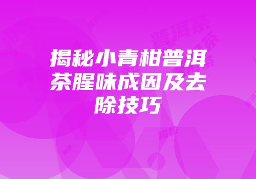 揭秘小青柑普洱茶腥味成因及去除技巧