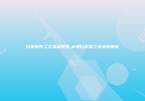 白茶制作工艺流程视频,太湖白茶加工技术有哪些
