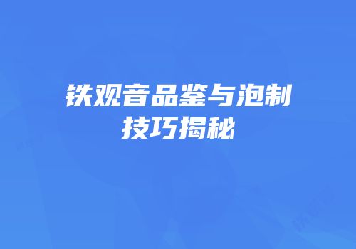 铁观音品鉴与泡制技巧揭秘