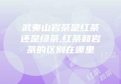 武夷山岩茶是红茶还是绿茶,红茶和岩茶的区别在哪里