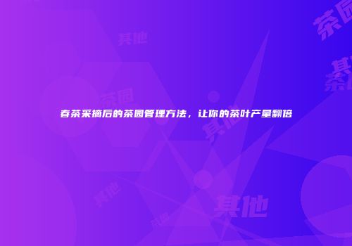 春茶采摘后的茶园管理方法，让你的茶叶产量翻倍