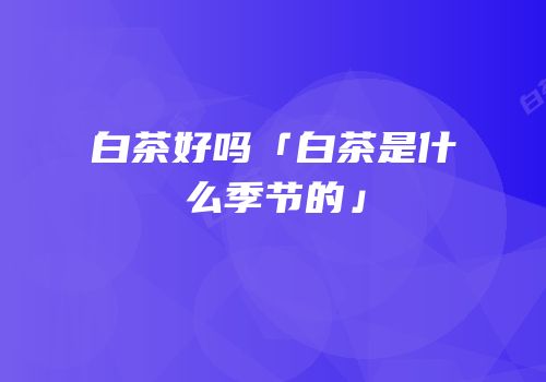 白茶好吗「白茶是什么季节的」