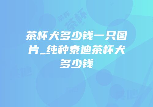 茶杯犬多少钱一只图片_纯种泰迪茶杯犬多少钱