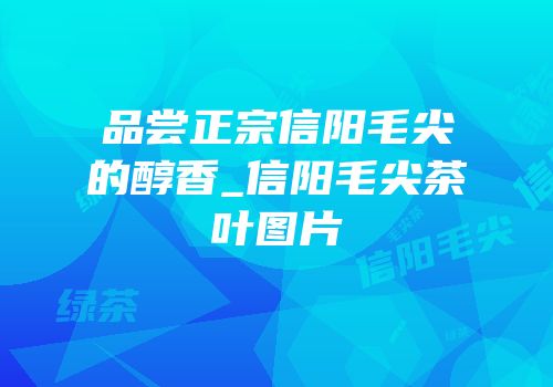 品尝正宗信阳毛尖的醇香_信阳毛尖茶叶图片