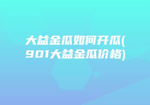 大益金瓜如何开瓜(901大益金瓜价格)