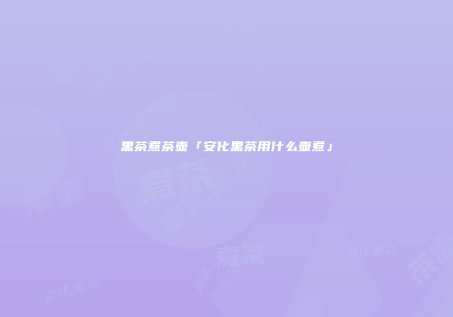 黑茶煮茶壶「安化黑茶用什么壶煮」