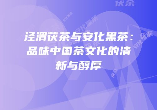 泾渭茯茶与安化黑茶：品味中国茶文化的清新与醇厚