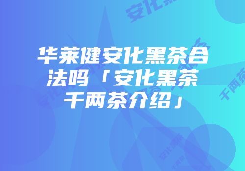 华莱健安化黑茶合法吗「安化黑茶千两茶介绍」