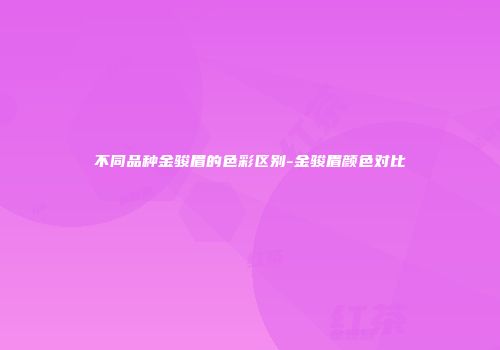 不同品种金骏眉的色彩区别-金骏眉颜色对比