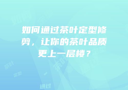 如何通过茶叶定型修剪，让你的茶叶品质更上一层楼？