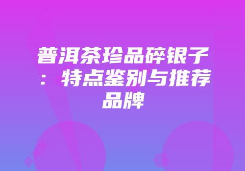 普洱茶珍品碎银子：特点鉴别与推荐品牌
