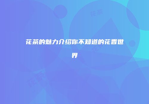 花茶的魅力介绍你不知道的花香世界
