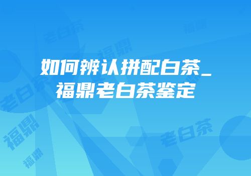 如何辨认拼配白茶_福鼎老白茶鉴定