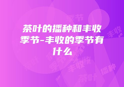 茶叶的播种和丰收季节-丰收的季节有什么