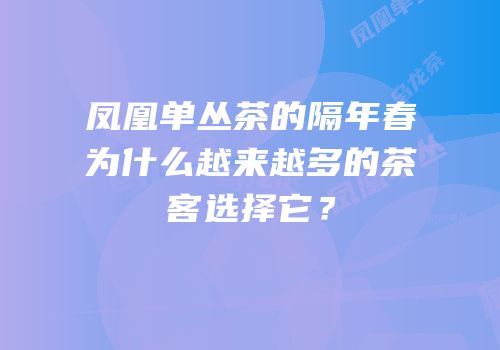 凤凰单丛茶的隔年春为什么越来越多的茶客选择它？