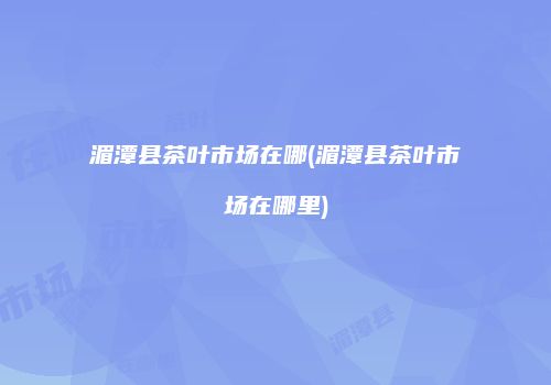 湄潭县茶叶市场在哪(湄潭县茶叶市场在哪里)