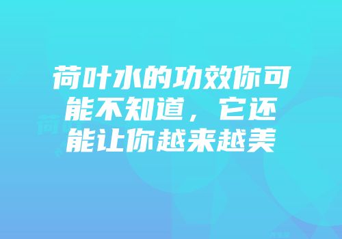 荷叶水的功效你可能不知道，它还能让你越来越美